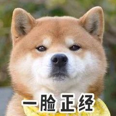 微信圖片_20181130112507.jpg